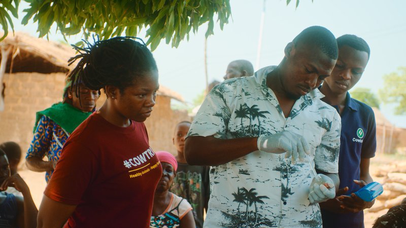 CowTribe and Vaccines