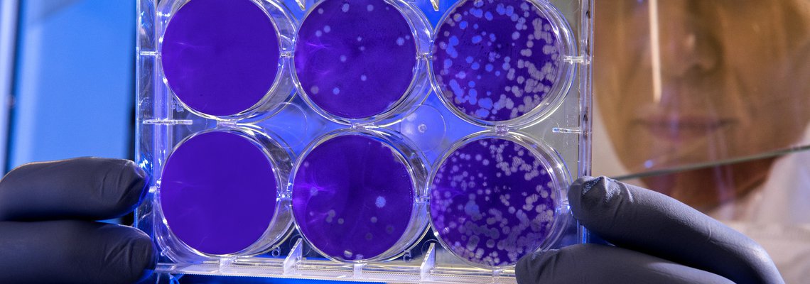 Entrepreneurs from Africa and MENA Offering Their Solutions to Fight COVID-19