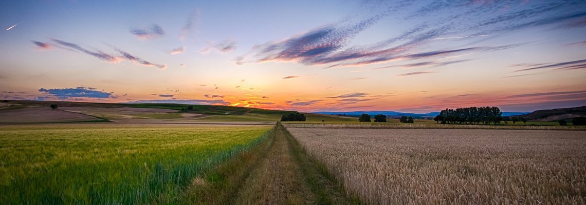 Modernising agriculture in Latin America