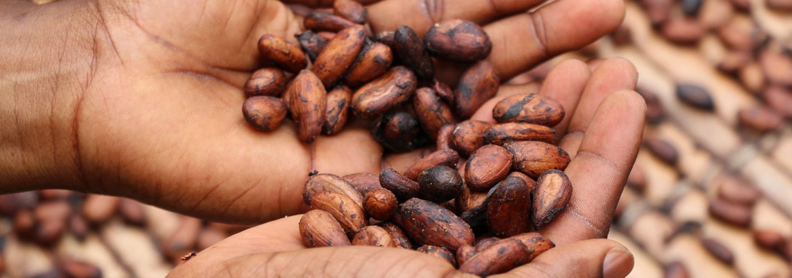 GIZ-SAIS to Launch Investment Readiness Program for African AgriTech and FoodTech Startups