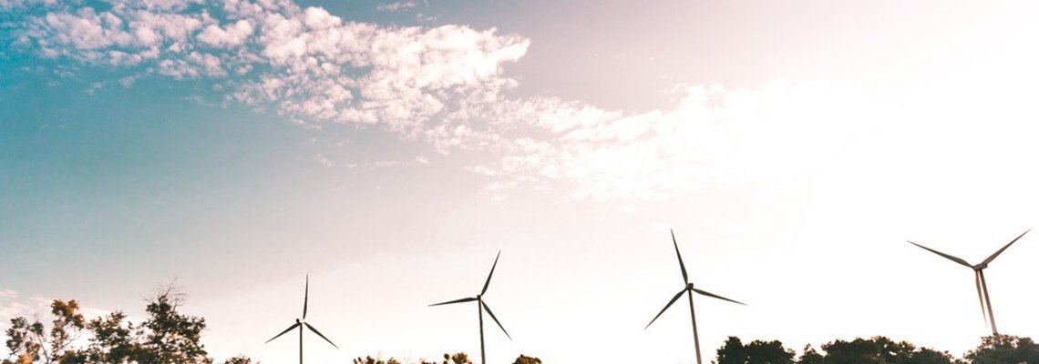 The Rise and Future of the Cleantech Industry