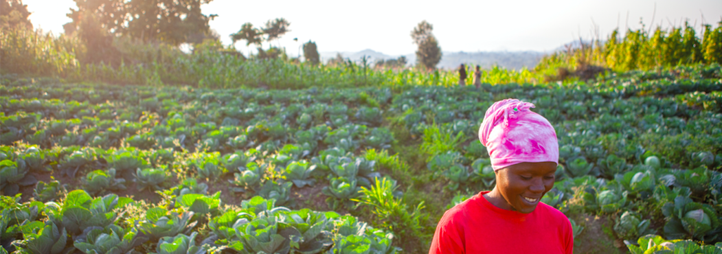 African smallholder agriculture requires AgriTech and collaboration