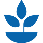 How to make your Pitch Deck remotely?