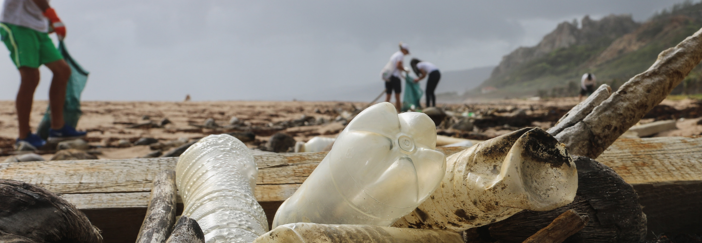 How Blockchain Can Help To Create Sustainable And Transparent Supply Chains