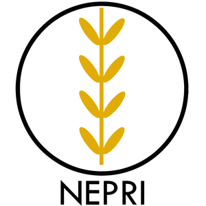 NEPRI Finance