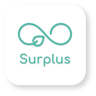 Surplus Indonesia