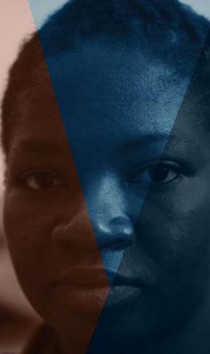 SeedstarstheDocumentary