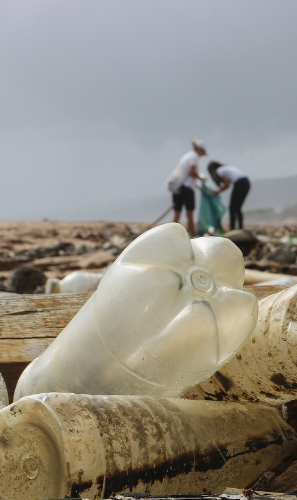 How Blockchain Can Help To Create Sustainable And Transparent Supply Chains