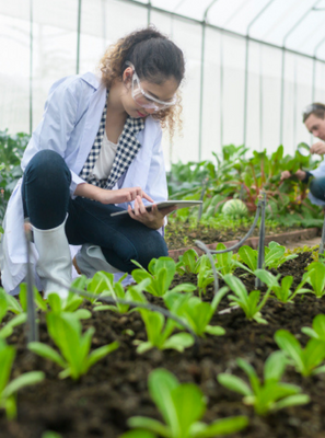 LATAM4WEF launches search for youth innovators and SMEs solving the regions’ water, energy, and food