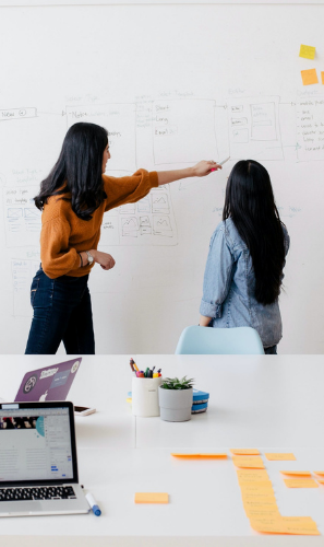 The Investment Readiness Program